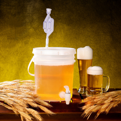 acheter Baril de brasserie de fermentation de qualité alimentaire écologique de 20 L pour cuve à fruits enzyme de Bomebrew fabrication en ligne