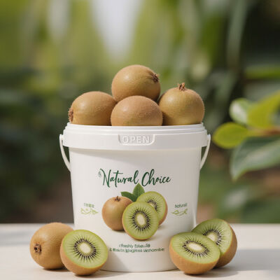 300 ml ~ 10 L Bouteille d'emballage de fruits frais respirants avec poignée de couvercle Bouteille de stockage de fruits pour les fruits kiwis