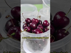 Un seau en plastique de 1 litre pour le lait condensé, le miel, la crème glacée, la crème glacée alimentaire