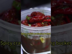 Boîtes en plastique transparentes avec couvercle